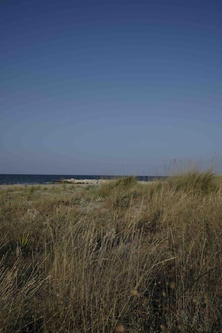 Casa Vacanze カンポマリーノ エクステリア 写真